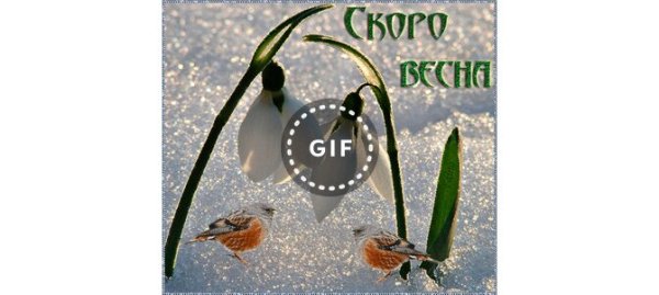 Музыкальное поздравление Весна идёт весне дорогу