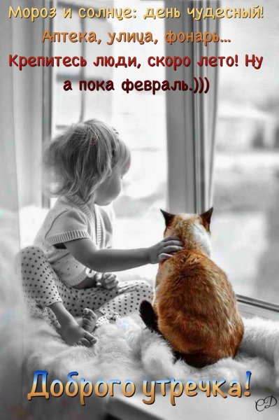 Скоро скоро лето