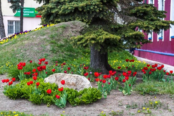 Цветущая Калуга