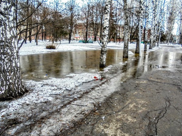 Ранняя и поздняя Весна