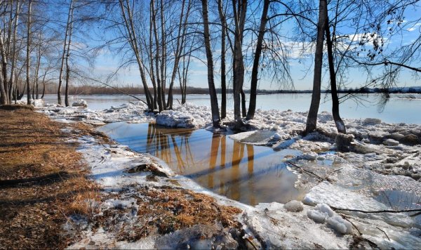 Русская природа Весна