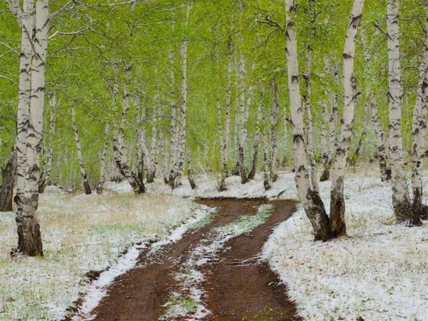 Волгодонск Ростовская область природа
