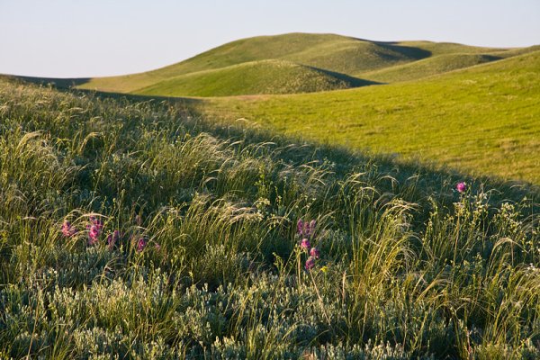 Конец марта природа