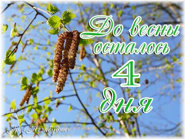 До весны осталось 5 дней