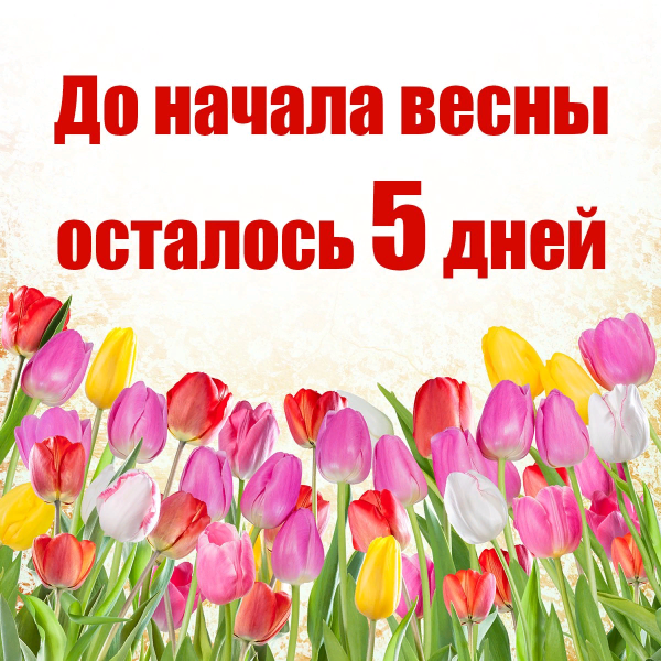 Первые весенние цветы