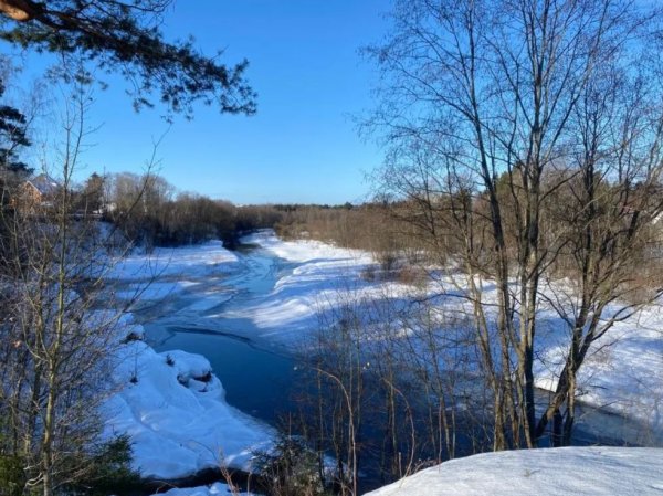 Курган Весна