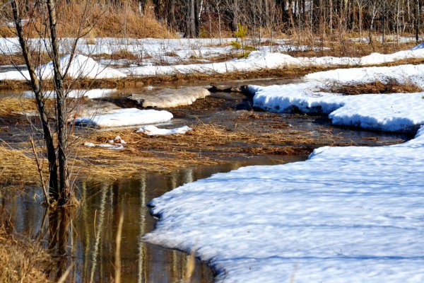 Таврический сад в Санкт-Петербурге ранней весной