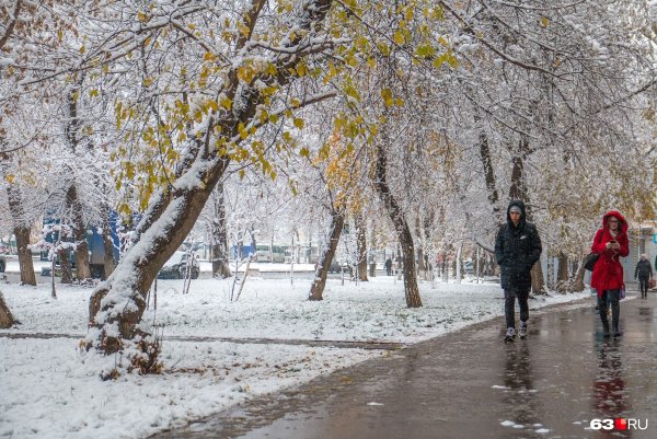 Птицы на Березе зимой