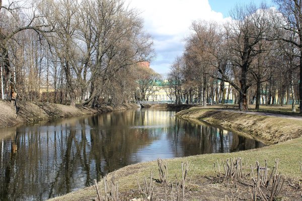 Лес первоцветов в Воронежской области