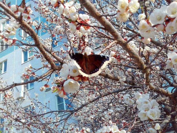 Весна в Беларуси