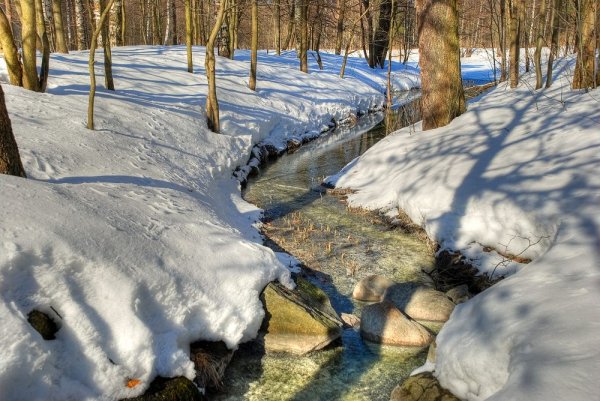 Ранняя Весна в городе