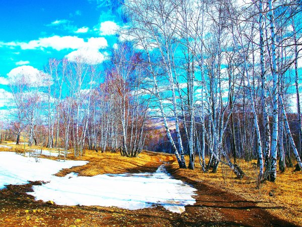 Апрель природа