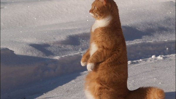 Крепитесь люди скоро лето