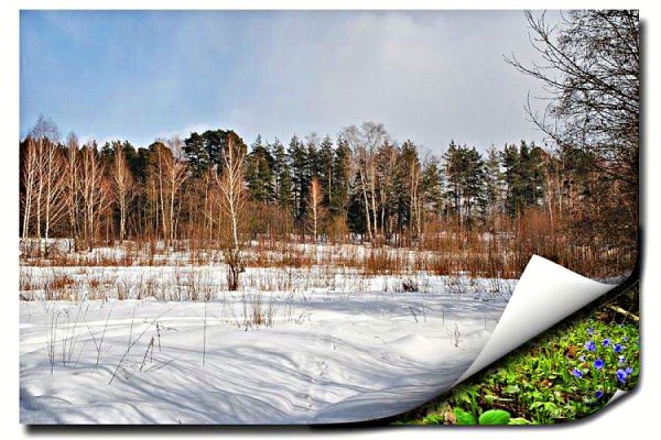 Поскорее бы уже Весна