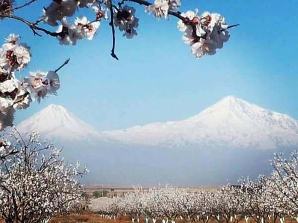 Армения Арарат весной