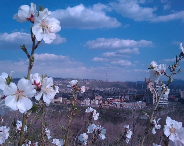 Весна в Армении