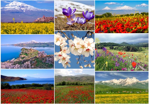 Природа Армении весной