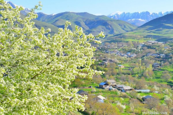 Весенний Ереван