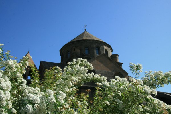 Весенние цветы в Армении