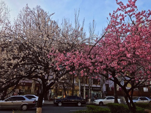 Армения природа Арагац