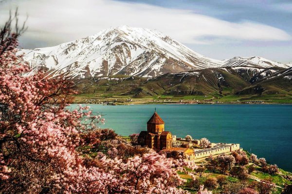 Маковое поле Арарат