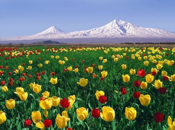 Весна в Армении