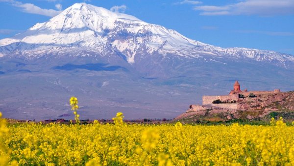 Армения Араратская Долина деревья расцвели