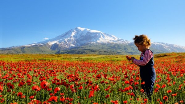 Природа Армении весной