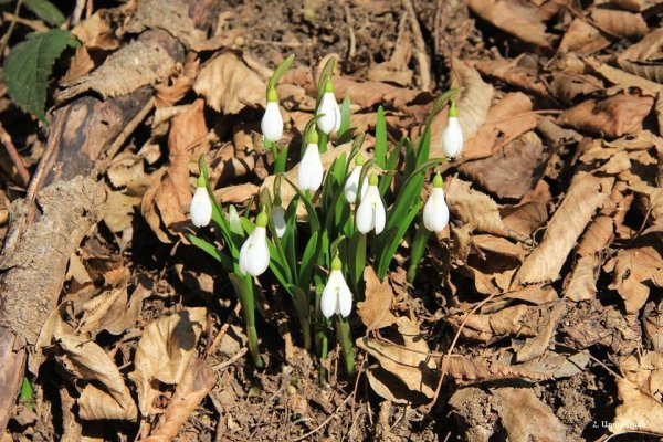 Майские праздники в Армении
