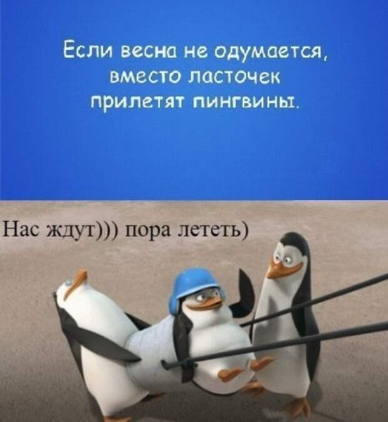 Готовимся к весне девочки