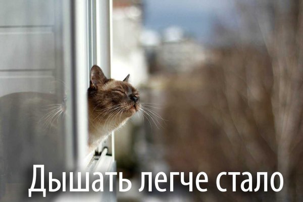 Запахло весной