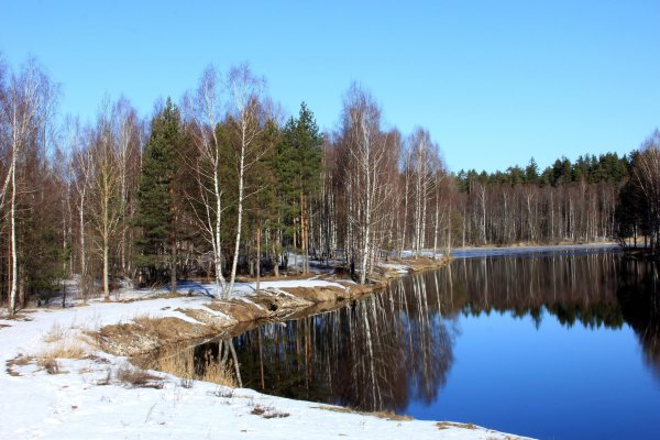 Природа Вологодской области