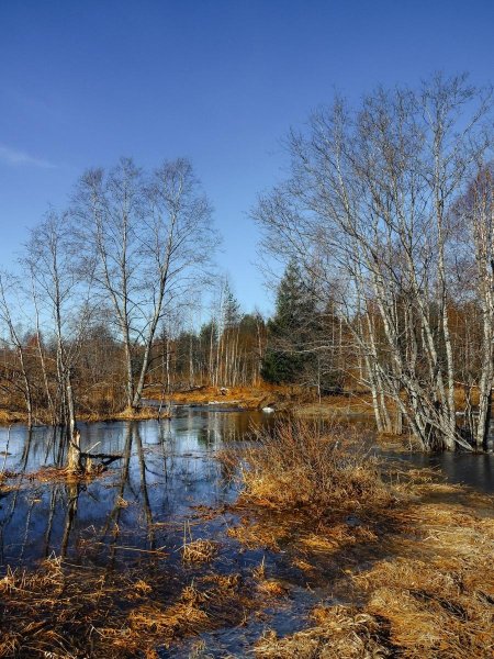 Вологда Весна