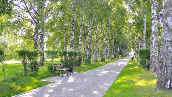 Вологда летом