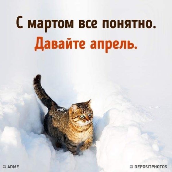 Уже февраль скоро Весна