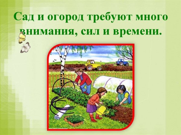 Мальчик поливает цветы