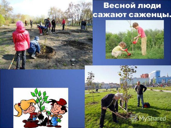 Труд людей в природе весной