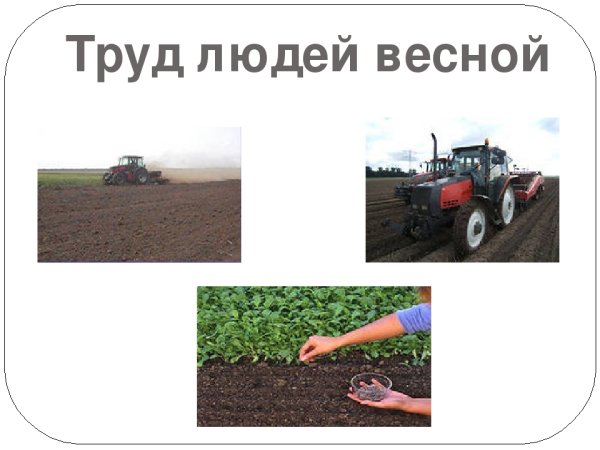 Труд людей весной для дошкольников