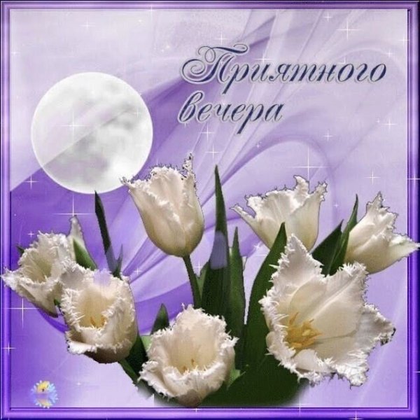 Красивые поздравления с добрым вечером