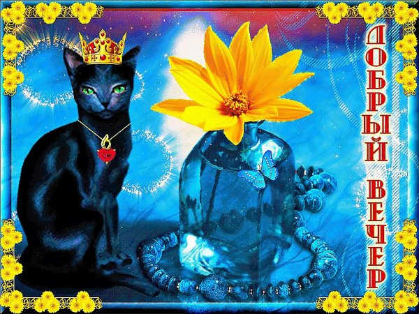 Открытки доброй ночи