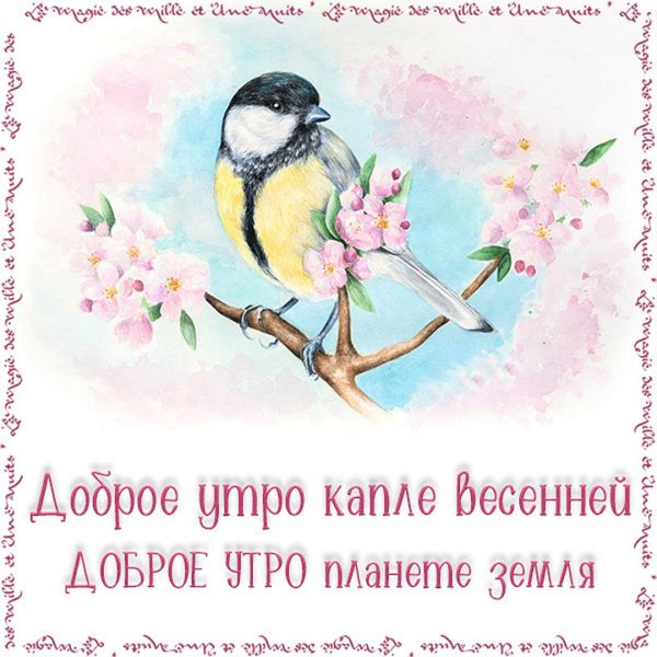 Нежного утра и хорошего дня