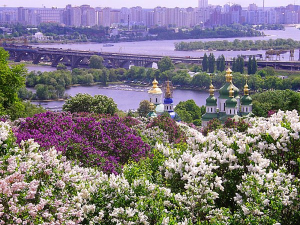 Киев Ботанический сад имени Гришко весной