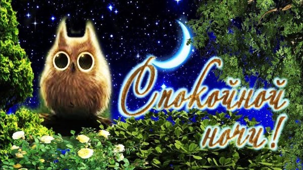 Цветы на фоне заката