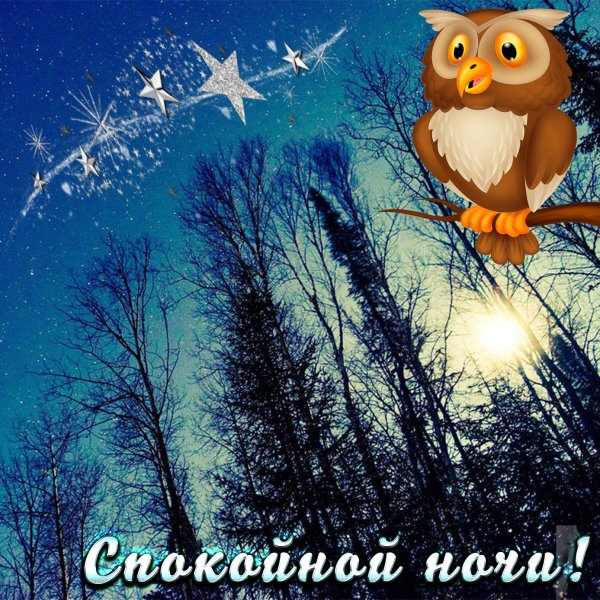 Отдыхай спокойной ночи
