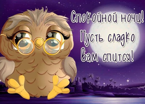 Собаки и утро лето