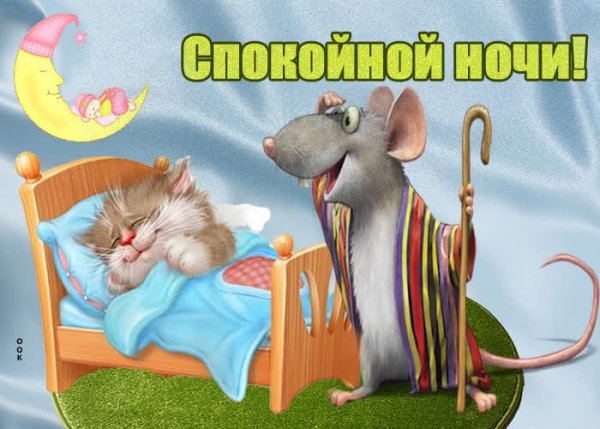 Кот на окне зима