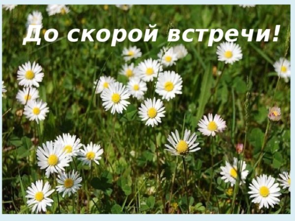 До встречи анимация
