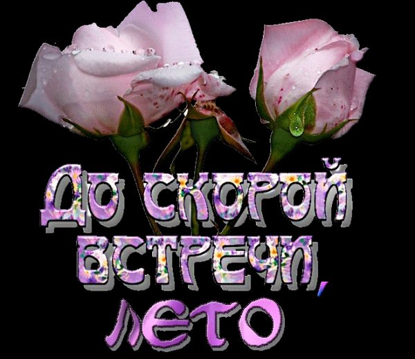 До свидания зима