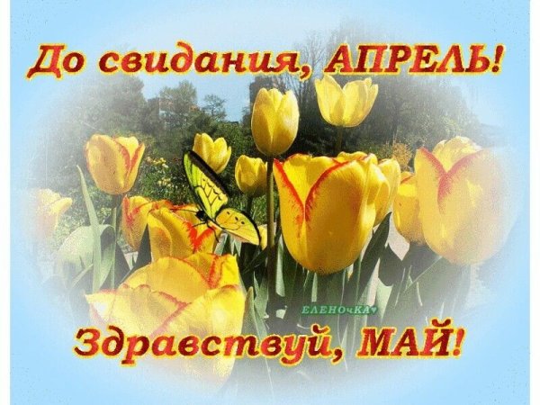 Осень прощается с нами