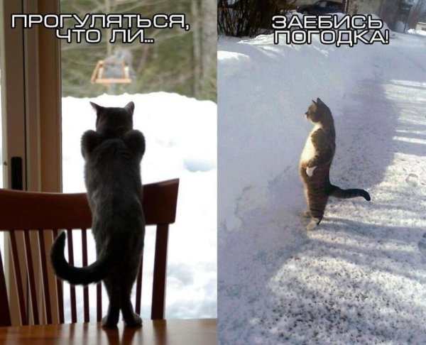 Весна холодно